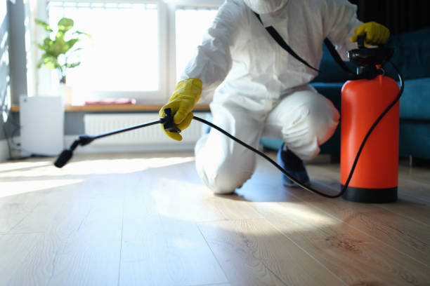 Reliable Odor Removal contractor in Buena, WA by Crime Scene Cleaner Online